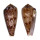 CONIDAE CONUS KINOSHITAI shell