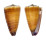 CONIDAE CONUS VITULINUS shell