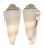 CONIDAE CONUS TEREBRA shell