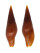 MITRIDAE MITRA PELE shell