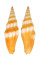 MITRIDAE VEXILLUM COCCINEA shell