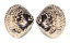 VENERIDAE MERETRIX PETECHIALIS shell