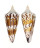 CONIDAE CONUS GENERALIS REGENFUSSI shell