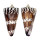 CONIDAE CONUS GENERALIS REGENFUSSI shell