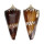 CONIDAE CONUS GENERALIS REGENFUSSI shell