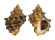 MURICIDAE THAIS SACELLUM shell