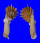 SPONDYLIDAE SPONDYLUS VARIEGATUS shell