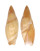 OLIVIDAE AMALDA SIMILIS shell