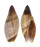 OLIVIDAE AMALDA SIMILIS shell