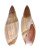 OLIVIDAE AMALDA SIMILIS shell