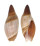 OLIVIDAE AMALDA SIMILIS shell