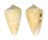 CONIDAE CONUS LISCHKEANUS TROPICENSIS shell