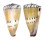 CONIDAE CONUS MUSTELINUS shell