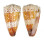 CONIDAE CONUS VIDUA CUYOENSIS shell