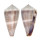 CONIDAE CONUS LIVIDUS shell