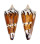 CONIDAE CONUS GENERALIS REGENFUSSI shell