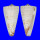 CONIDAE CONUS THALASSIARCHUS shell