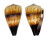 CONIDAE CONUS MILES shell