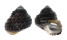TROCHIDAE AUSTROCOCHLEA CONSTRICTA shell