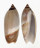 OLIVIDAE AGARONIA JOHNKOCHI shell