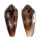 CONIDAE CONUS CIRCUMCISUS shell
