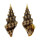 TURRIDAE CLAVUS FLAMMULATUS shell