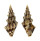TURRIDAE CLAVUS FLAMMULATUS shell