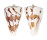 CONIDAE CONUS MALACANUS shell