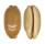 CYPRAEIDAE LURIA ISABELLA GILVELLA shell