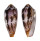CONIDAE CONUS CIRCUMCISUS shell