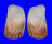 TRAPEZIDAE TRISIDOS SOWERBYI shell