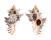 MURICIDAE CHICOREUS BRUNNEUS shell