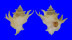 CORALLIOPHILIDAE BABELOMUREX DEBURGHIAE shell