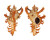 MURICIDAE CHICOREUS BANKSII CROCATUS shell