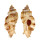 MURICIDAE NAQUETIA CUMINGII shell