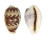 CYPRAEIDAE CYPRAEA DILUCULUM VIRGINALIS shell