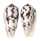 CONIDAE CONUS STRIATUS shell