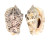 STROMBIDAE STROMBUS LENTIGINOSUS shell