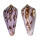 CONIDAE CONUS KINOSHITAI shell