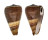 CONIDAE CONUS LOROISII INSIGNIS shell