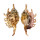 STROMBIDAE LAMBIS MILLEPEDA shell