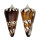 CONIDAE CONUS GENERALIS REGENFUSSI shell