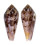 CONIDAE CONUS KINOSHITAI shell