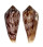 CONIDAE CONUS KINOSHITAI shell
