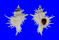 CORALLIOPHILIDAE BABELOMUREX WORMALDI shell