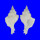 MURICIDAE TAKIA INFRONS shell