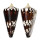 CONIDAE CONUS GENERALIS REGENFUSSI shell