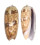 OLIVIDAE OLIVA IRISANS shell
