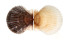 PECTINIDAE ARGOPECTEN IRRADIANS CONCENTRICUS shell