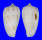 CONIDAE CONUS BALABACENSIS shell